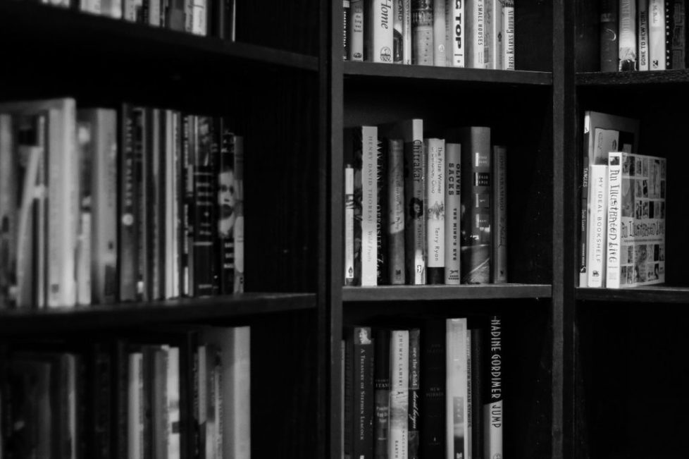 blogmedia-bookshelves-932780_1280.jpg